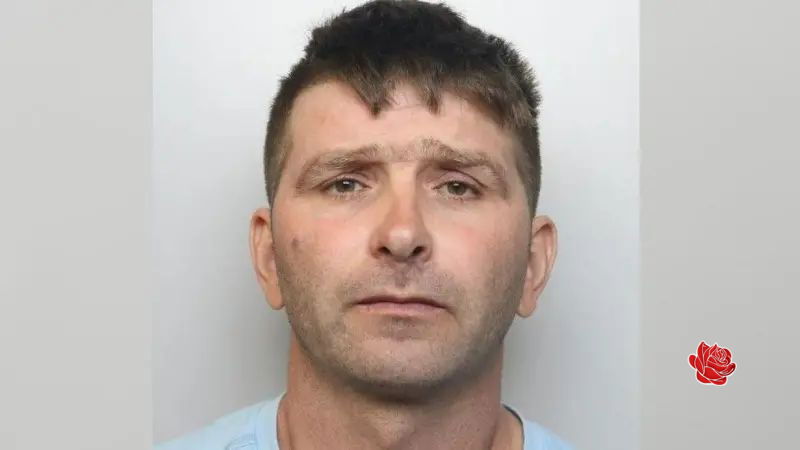 Profile image of Stefan Bolohan